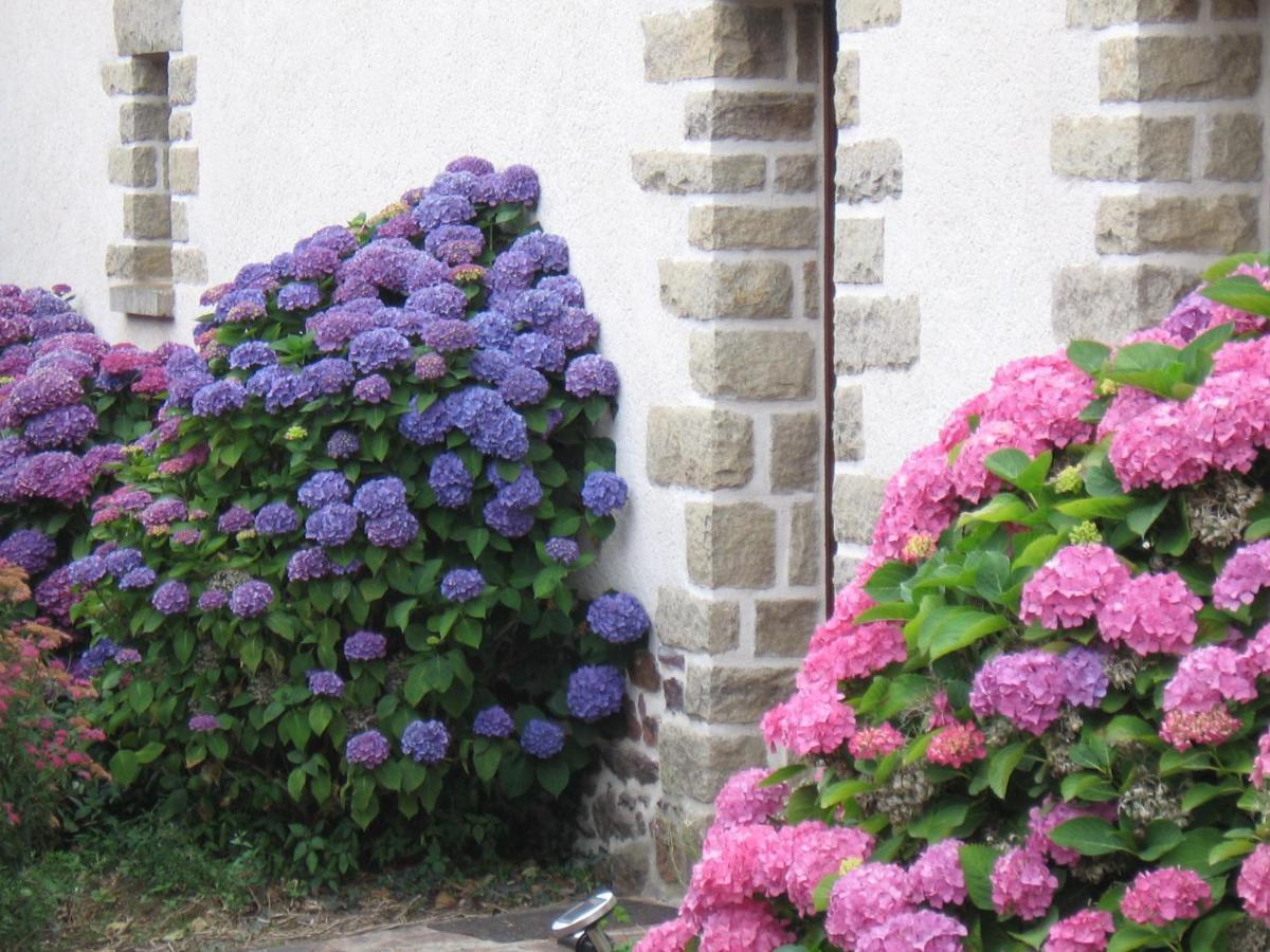 Perrault Gites Loscouet-sur-Meu Extérieur photo