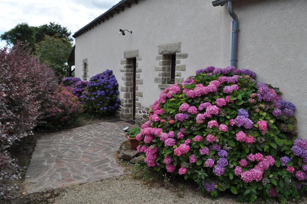 Perrault Gites Loscouet-sur-Meu Extérieur photo